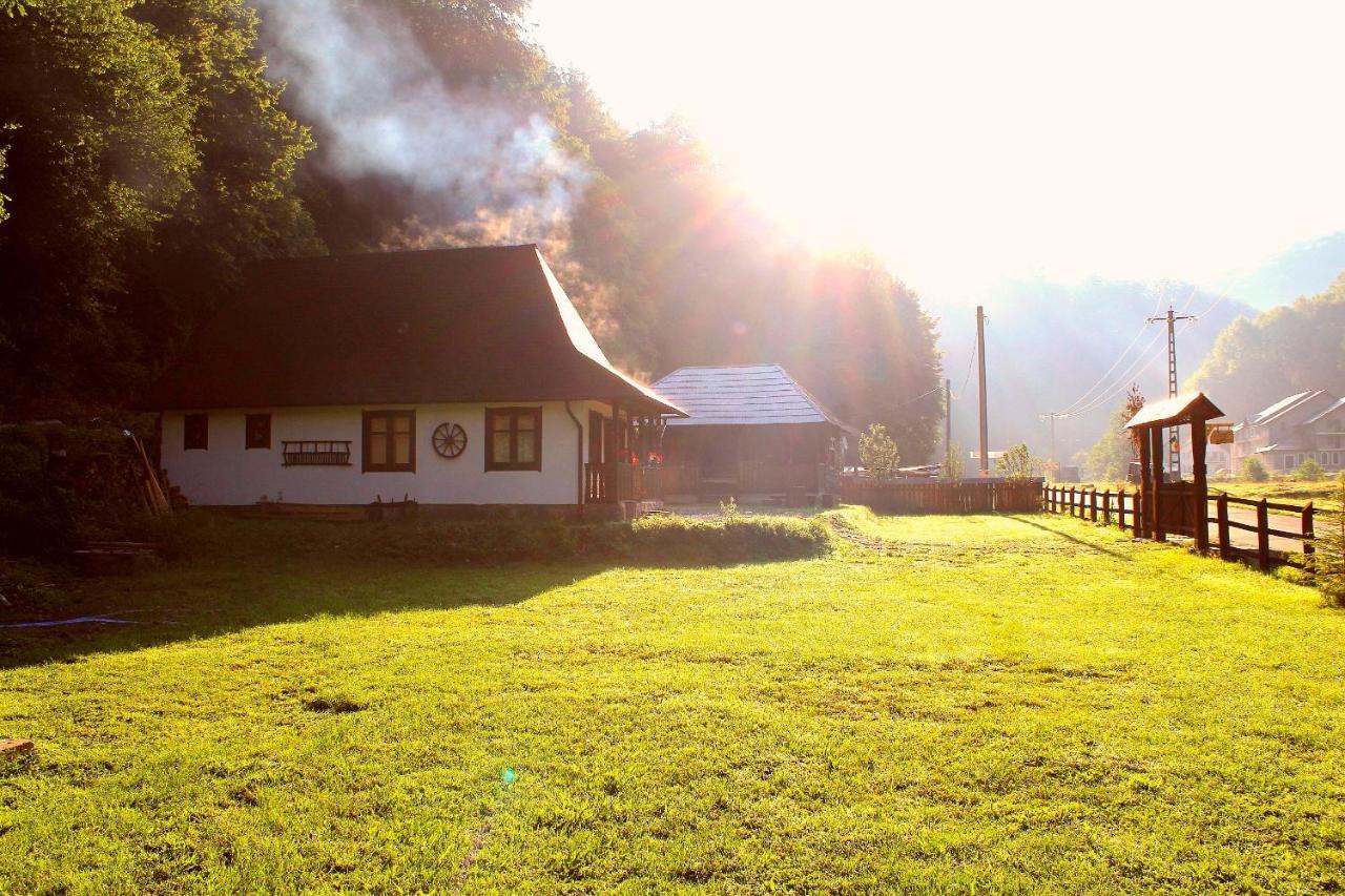 Casuta Din Valea Regilor Villa Gradistea de Munte Dış mekan fotoğraf