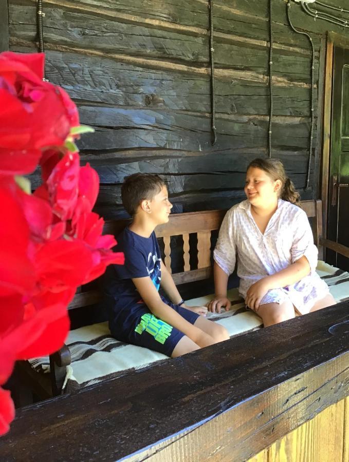 Casuta Din Valea Regilor Villa Gradistea de Munte Dış mekan fotoğraf
