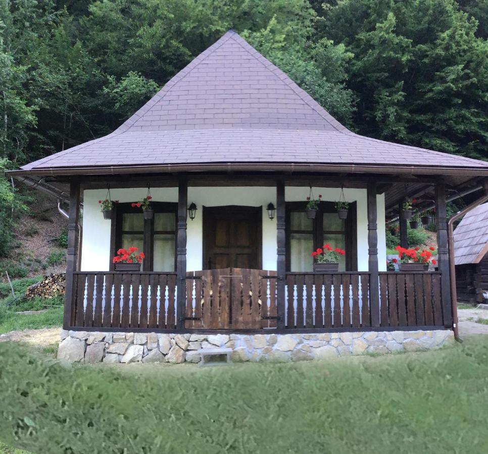 Casuta Din Valea Regilor Villa Gradistea de Munte Dış mekan fotoğraf