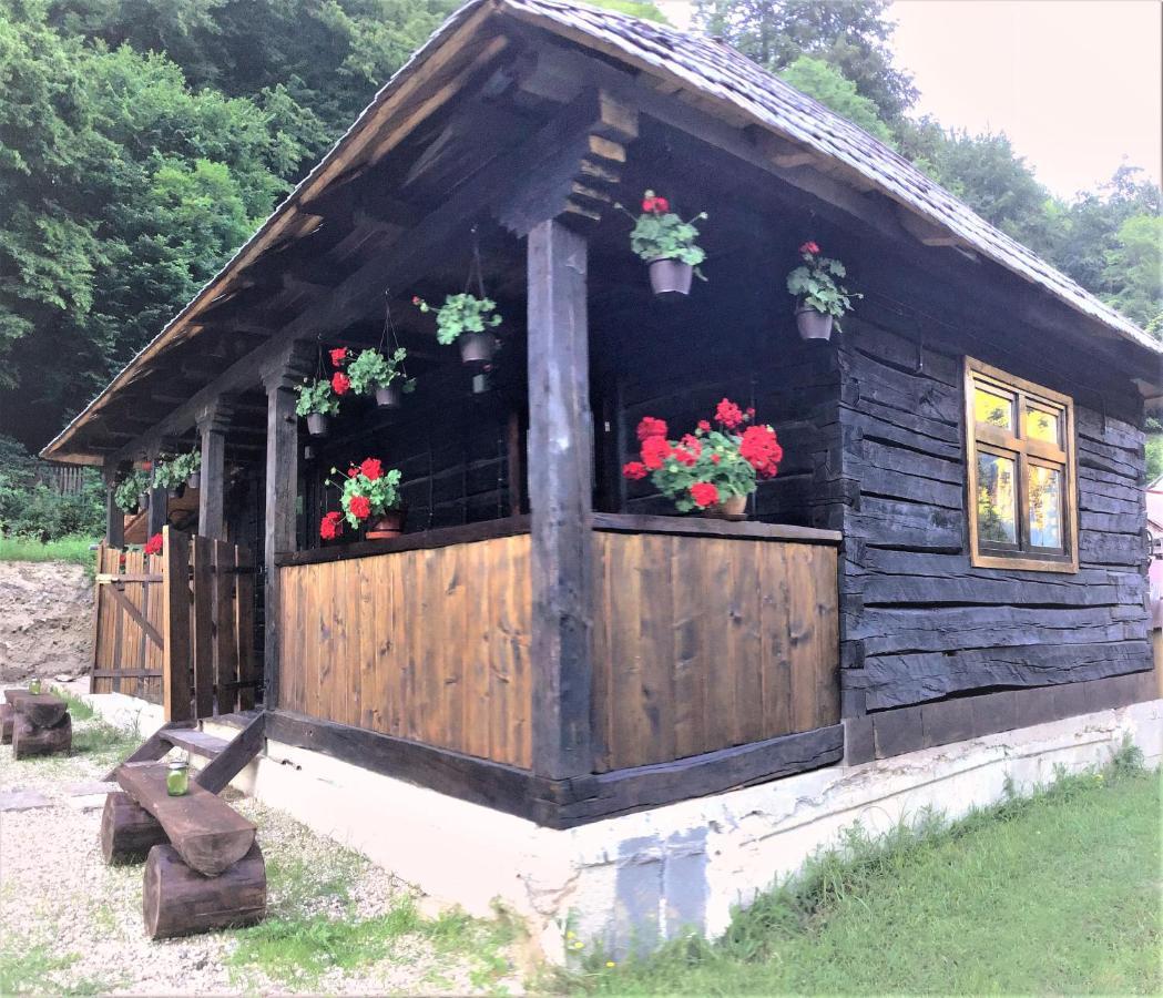 Casuta Din Valea Regilor Villa Gradistea de Munte Dış mekan fotoğraf