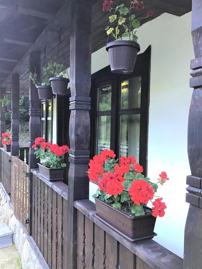 Casuta Din Valea Regilor Villa Gradistea de Munte Dış mekan fotoğraf