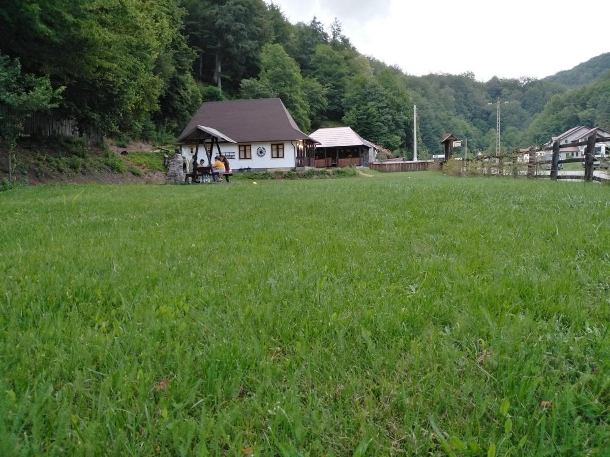 Casuta Din Valea Regilor Villa Gradistea de Munte Dış mekan fotoğraf