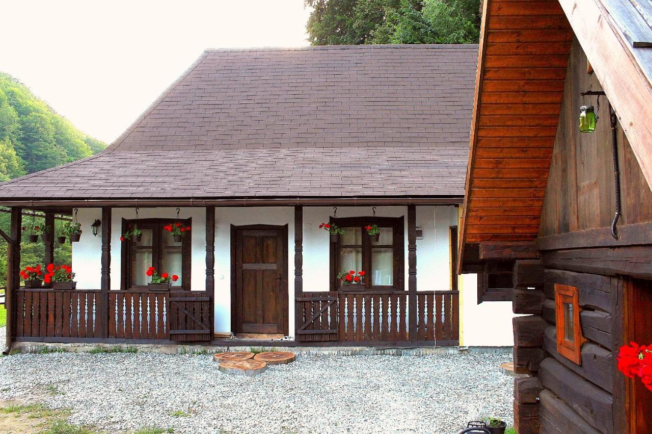 Casuta Din Valea Regilor Villa Gradistea de Munte Dış mekan fotoğraf
