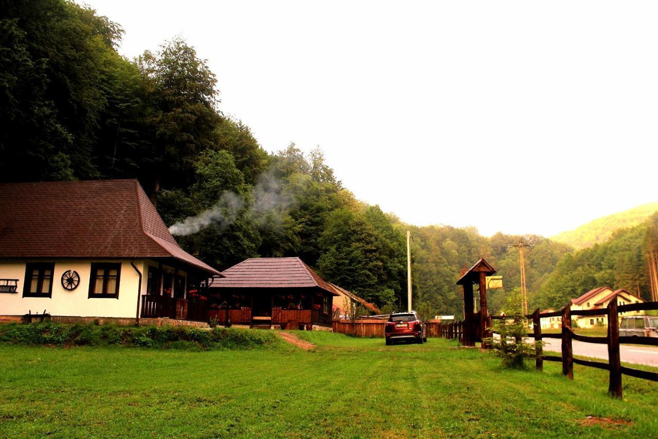 Casuta Din Valea Regilor Villa Gradistea de Munte Dış mekan fotoğraf