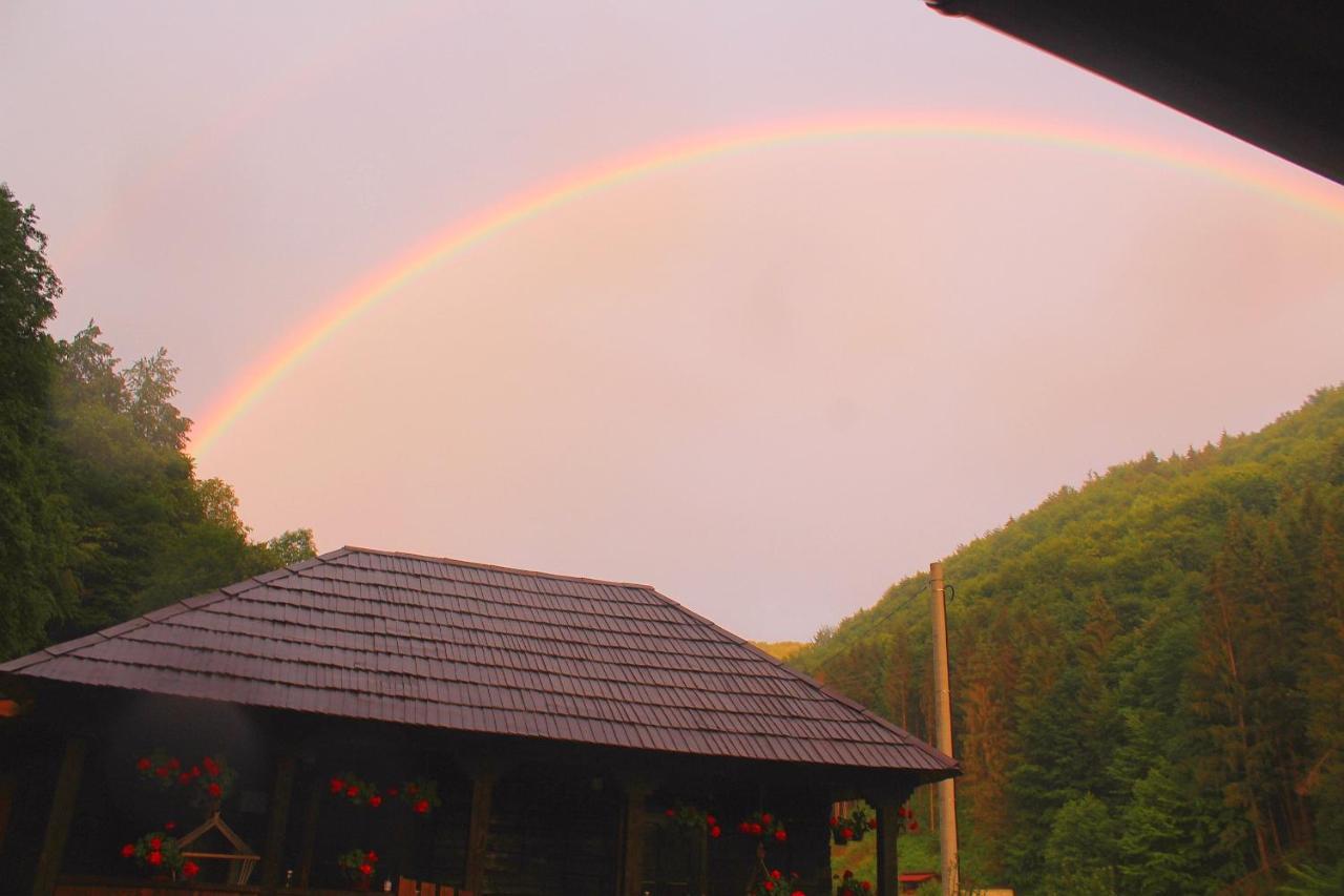 Casuta Din Valea Regilor Villa Gradistea de Munte Dış mekan fotoğraf