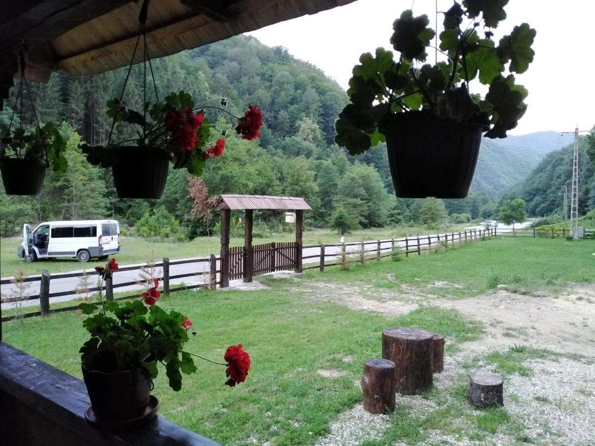 Casuta Din Valea Regilor Villa Gradistea de Munte Dış mekan fotoğraf