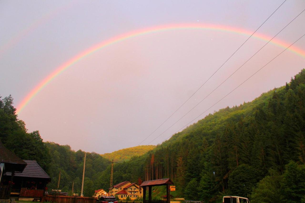 Casuta Din Valea Regilor Villa Gradistea de Munte Dış mekan fotoğraf