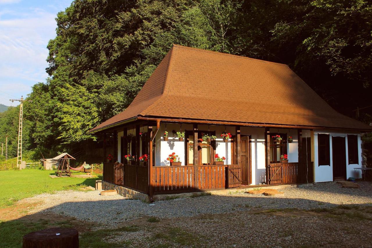 Casuta Din Valea Regilor Villa Gradistea de Munte Dış mekan fotoğraf
