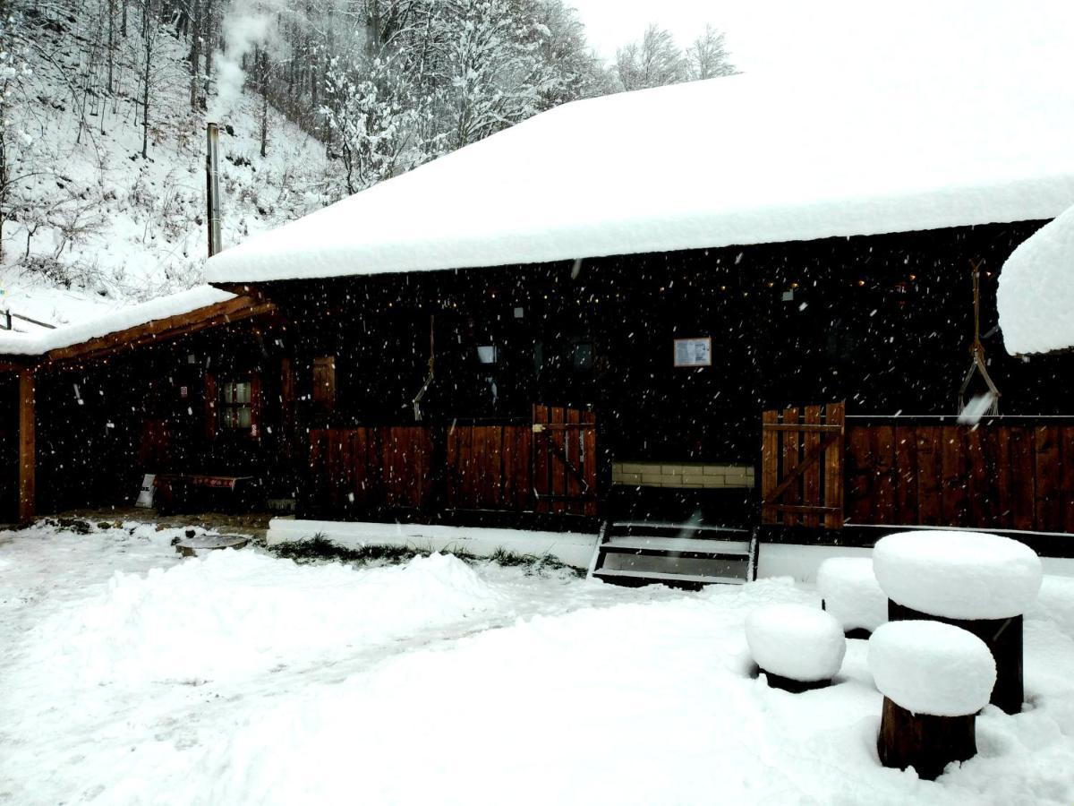 Casuta Din Valea Regilor Villa Gradistea de Munte Dış mekan fotoğraf
