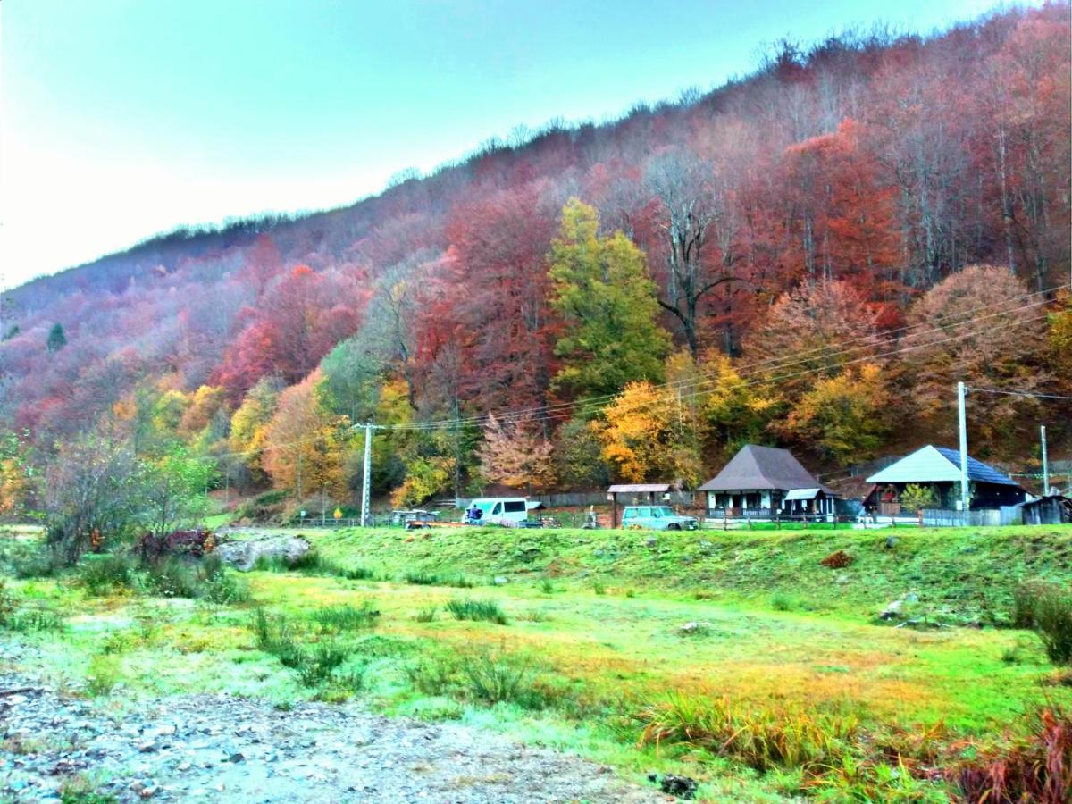 Casuta Din Valea Regilor Villa Gradistea de Munte Dış mekan fotoğraf