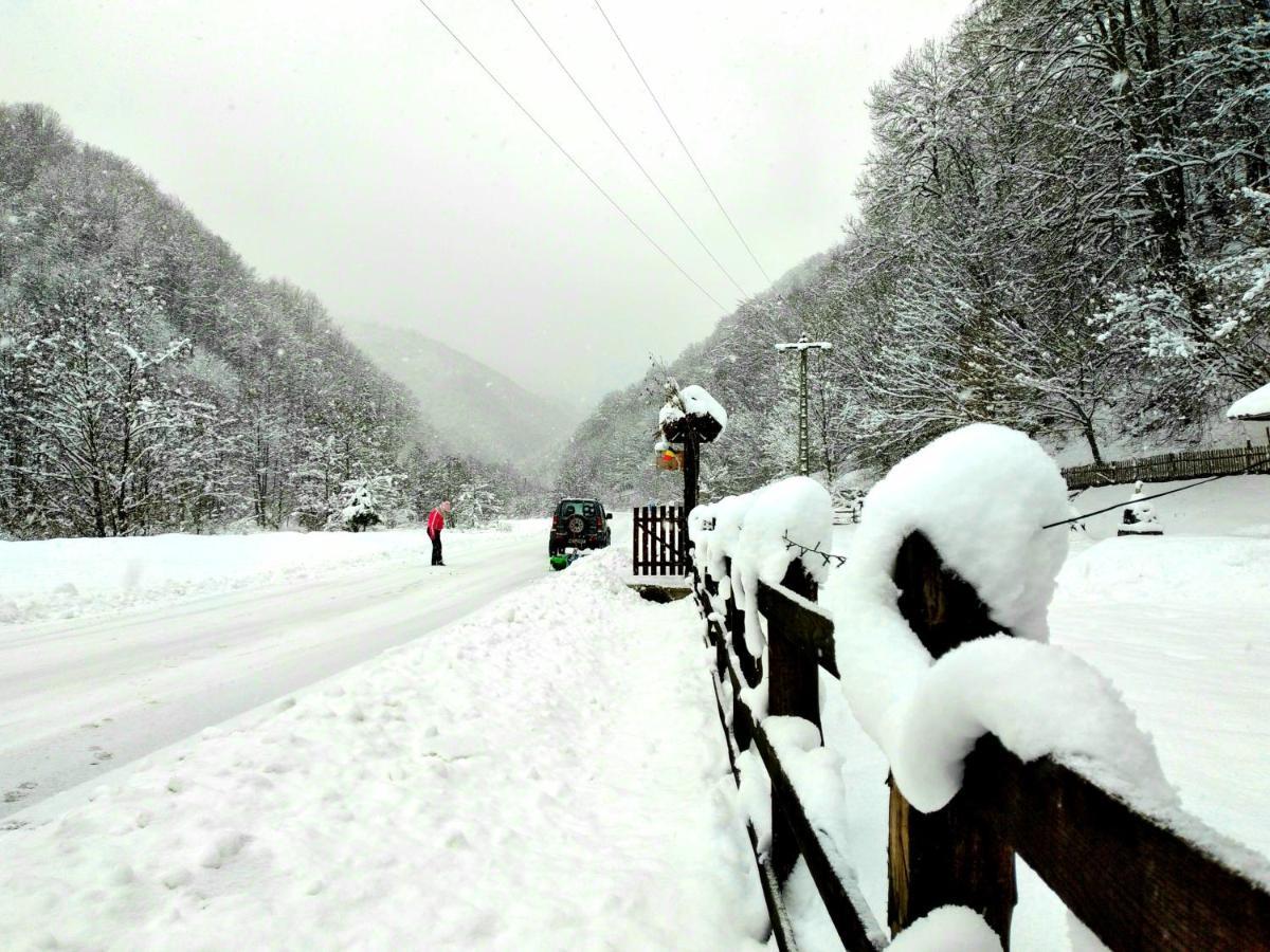 Casuta Din Valea Regilor Villa Gradistea de Munte Dış mekan fotoğraf