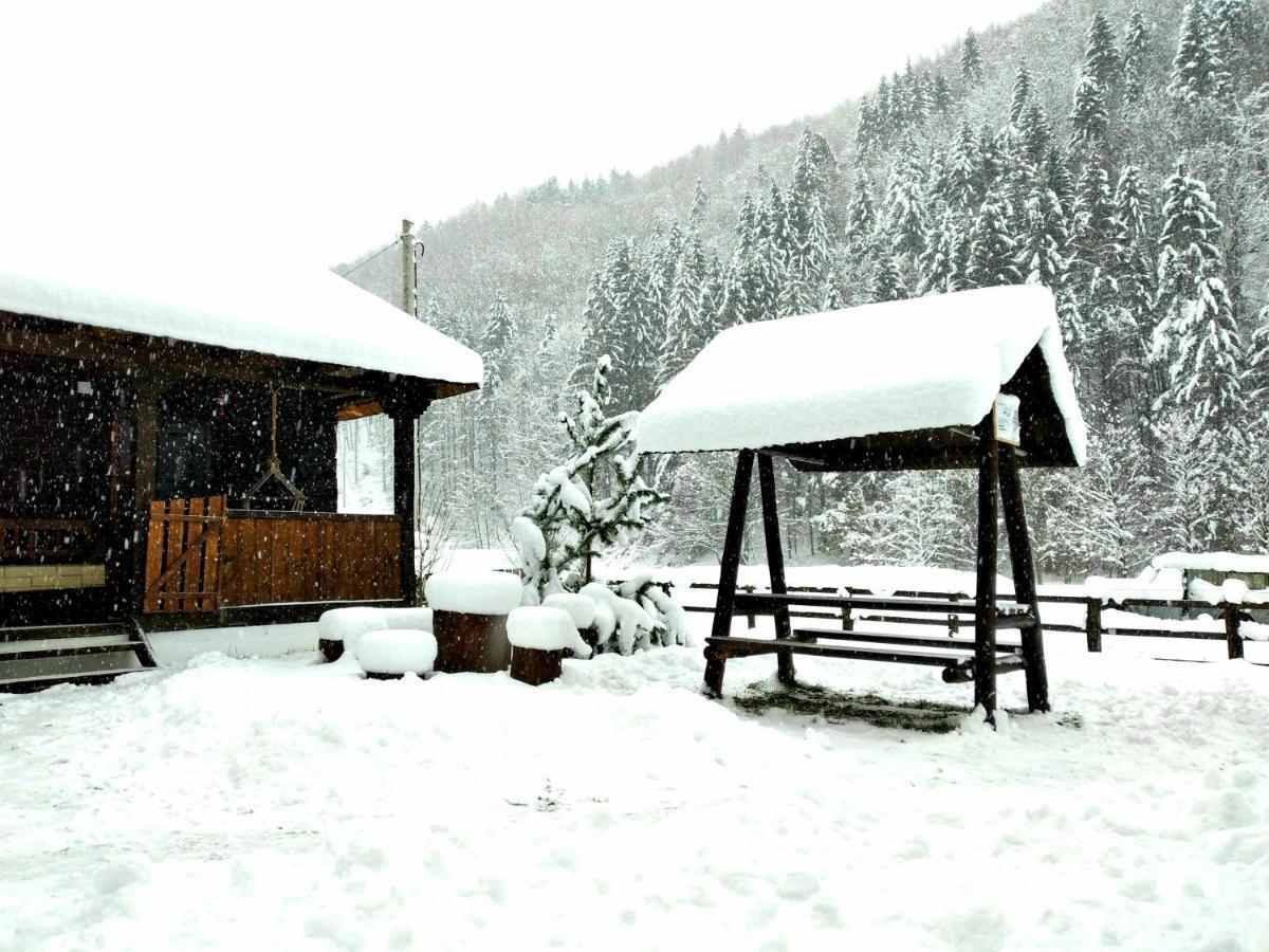 Casuta Din Valea Regilor Villa Gradistea de Munte Dış mekan fotoğraf