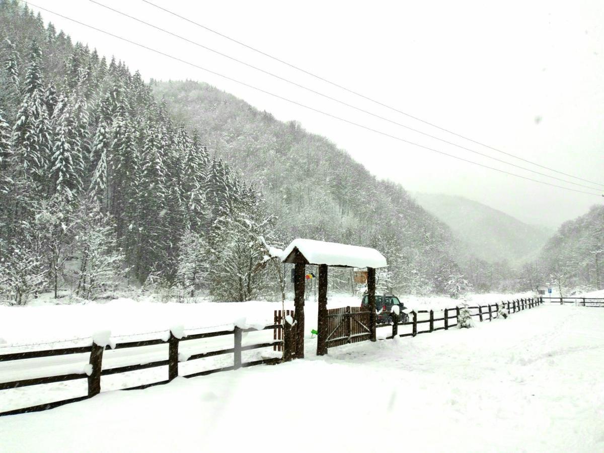 Casuta Din Valea Regilor Villa Gradistea de Munte Dış mekan fotoğraf