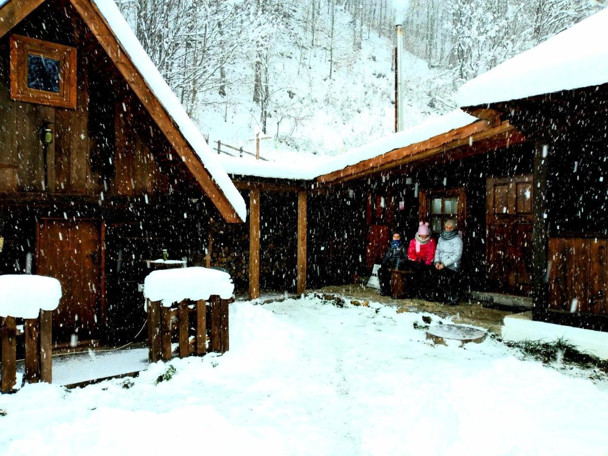 Casuta Din Valea Regilor Villa Gradistea de Munte Dış mekan fotoğraf