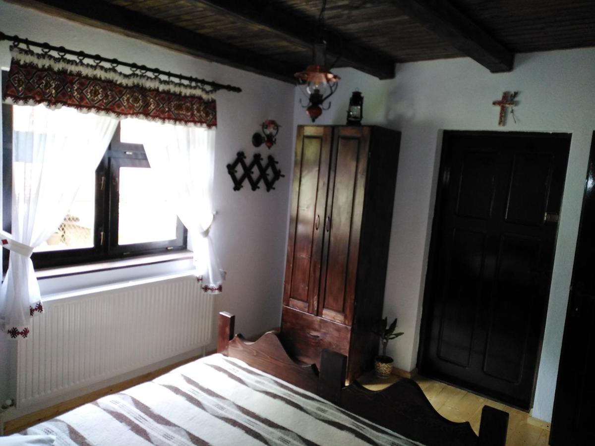 Casuta Din Valea Regilor Villa Gradistea de Munte Dış mekan fotoğraf