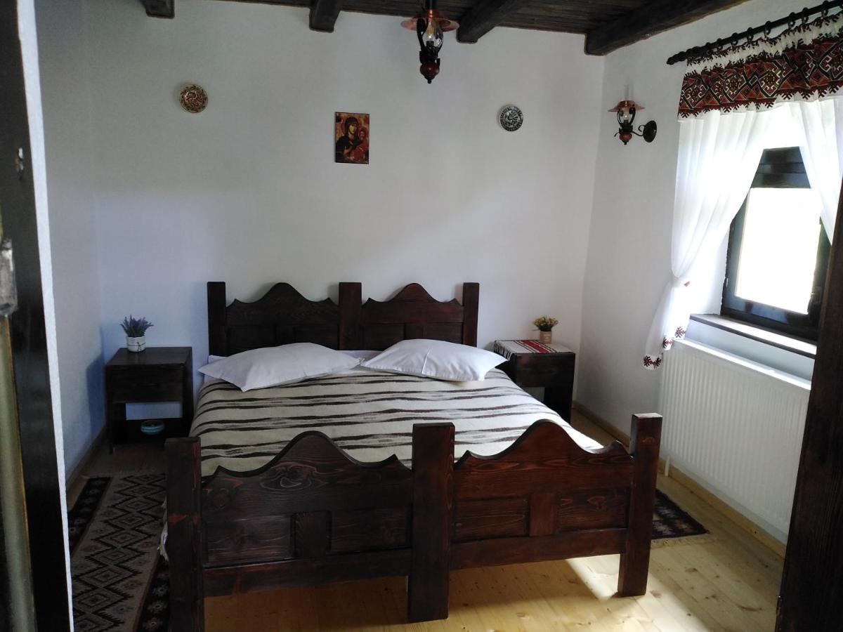 Casuta Din Valea Regilor Villa Gradistea de Munte Dış mekan fotoğraf
